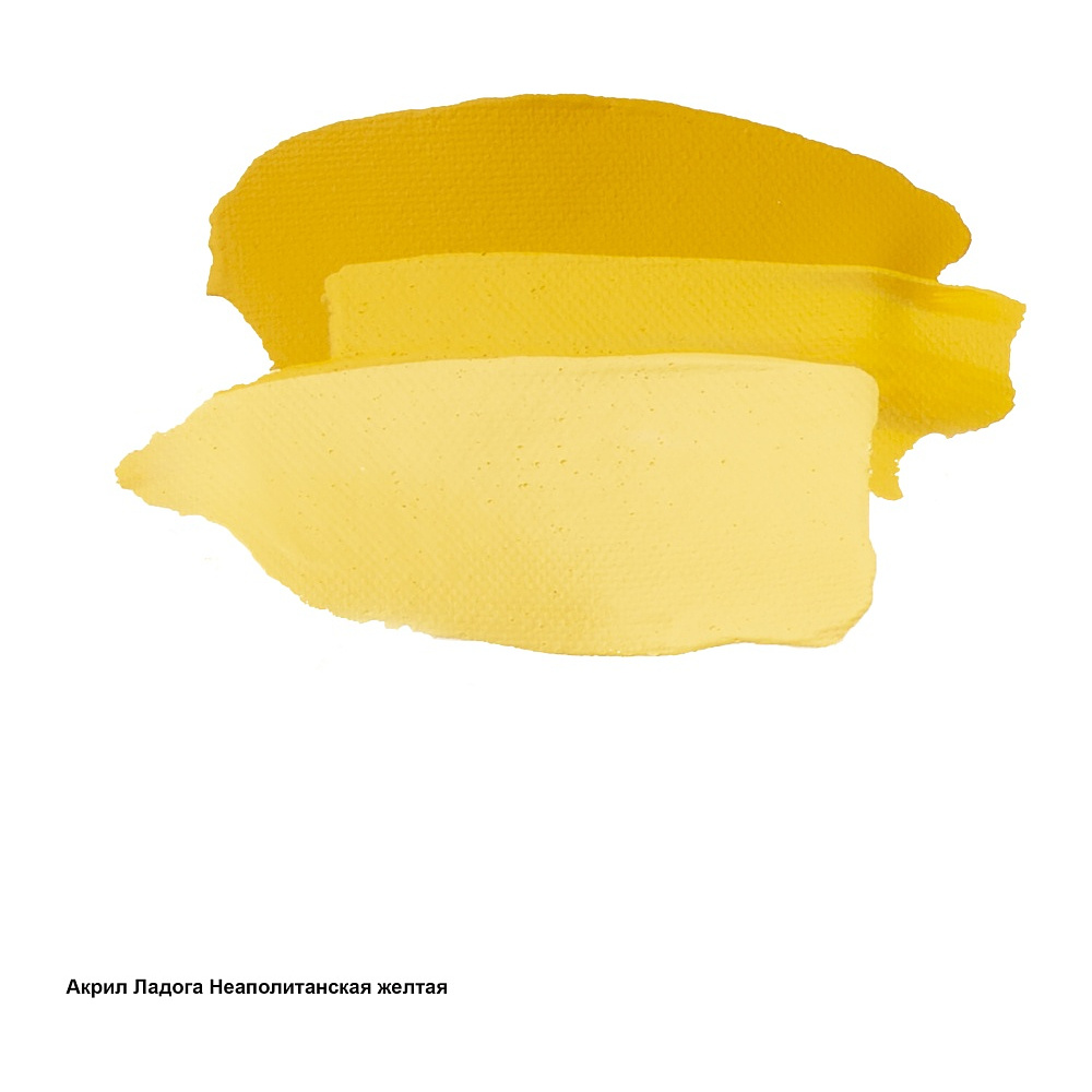 Краски акриловые "Ладога", 209 неаполитанская желтая , 46 мл., туба - 3
