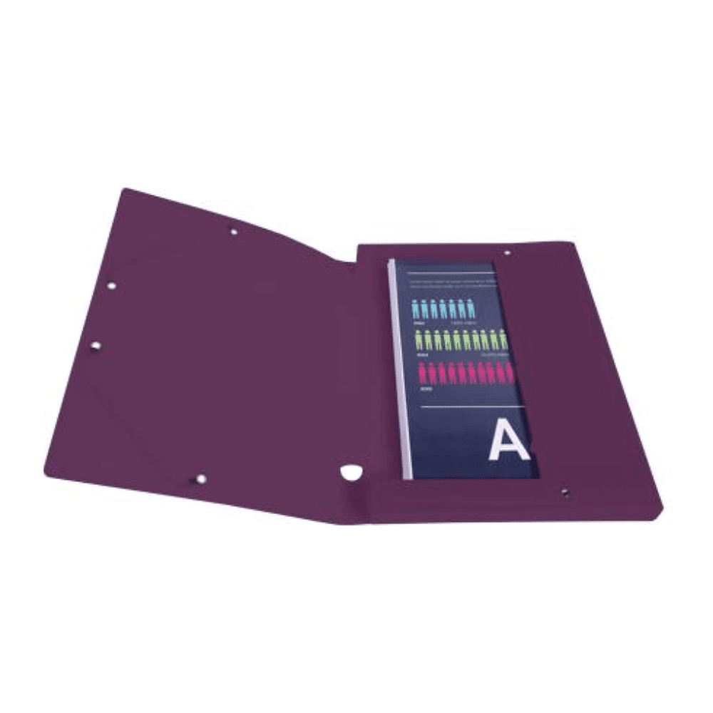 Папка-короб "Titane", 40 мм, на кнопке, ассорти - 6