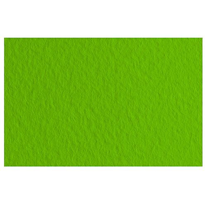 Бумага для пастели "Tiziano", А4, 160 г/м2, фисташковый 