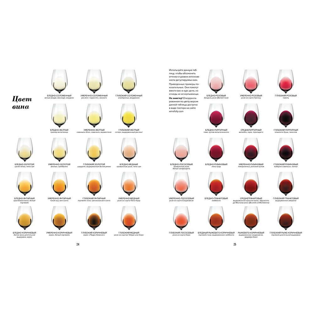 Книга "Wine Folly. Издание Магнум, детализированное", Мадлен Пакетт, Джастин Хэммек - 5