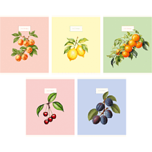 Тетрадь "Сочные фрукты и ягоды", А5, 48 листов, клетка, ассорти