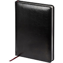 Ежедневник недатированный "Sidney Nebraska", А5, 272 страницы, черный