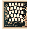 Книга "Родословное древо. Семейная летопись. Индивидуальная книга фамильной истории (красная)", Анна Артемьева - 10