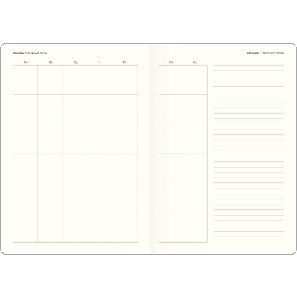 Ежедневник недатированный InFolio "Care", A5, 192 страницы, линованный, коричневый - 5