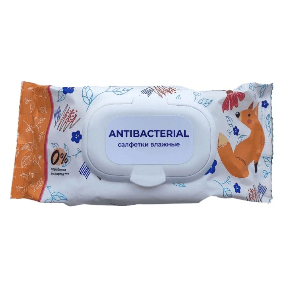 Салфетки влажные гигиенические антибактериальные с клапаном, с растительными экстрактами, 120 шт - 2