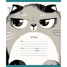 Тетрадь "Пушистые котики (эксклюзив)", А5, 12 листов, клетка, скоба сбоку, ассорти