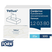 Салфетки косметические Tellus Премиум, 100шт/уп, FT1