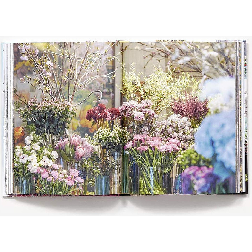 Книга на английском языке "New York in Bloom", Lane G. - 4