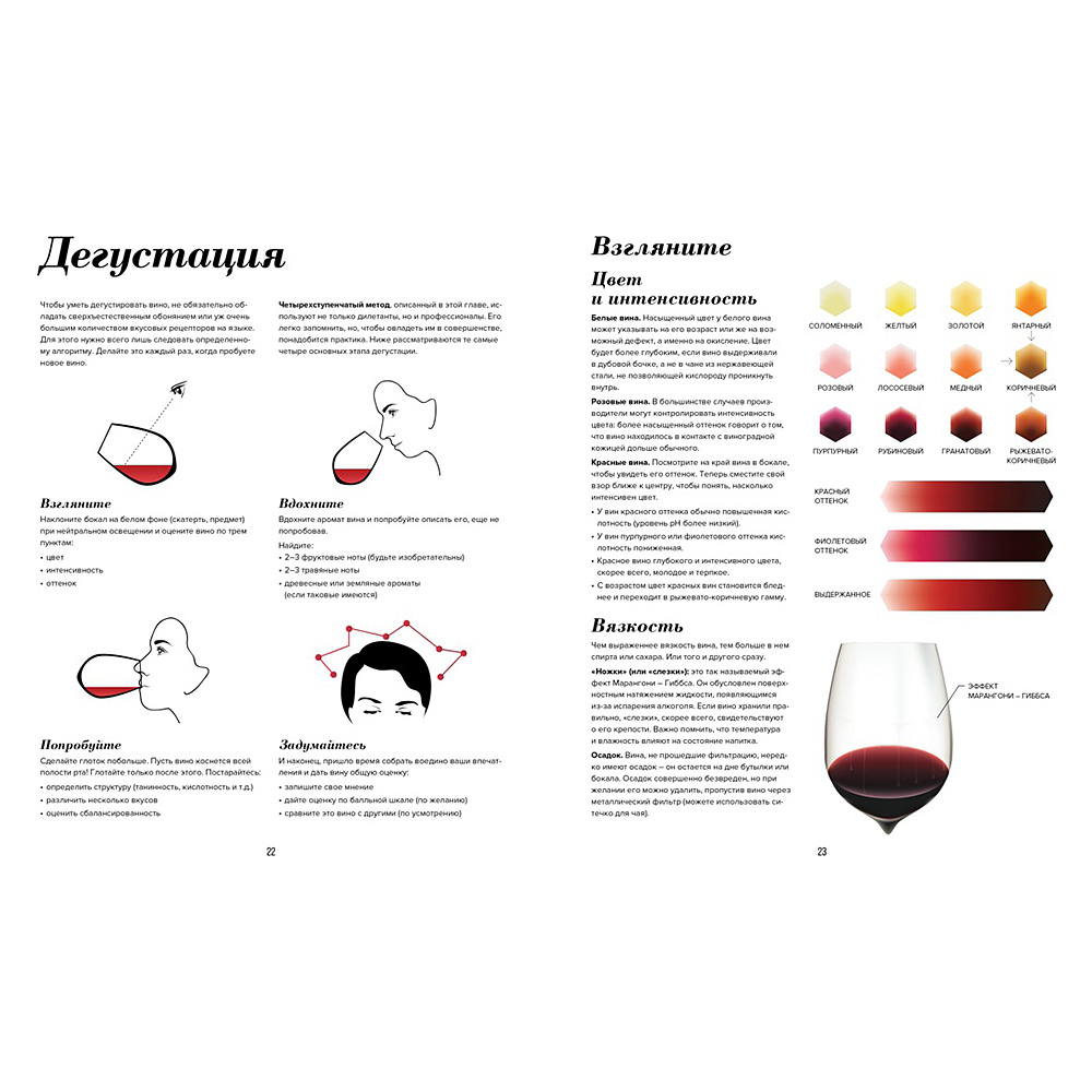 Книга "Wine Folly. Издание Магнум, детализированное", Мадлен Пакетт, Джастин Хэммек - 4