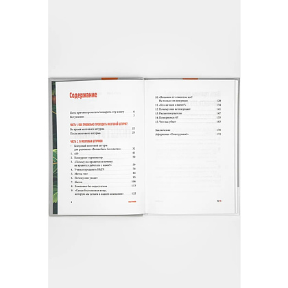 Книга "Поштурмим?", Игорь Манн, Дмитрий Турусин - 3