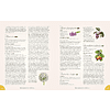 Книга на английском языке "The Complete Language of Food", Dietz S. T. - 6