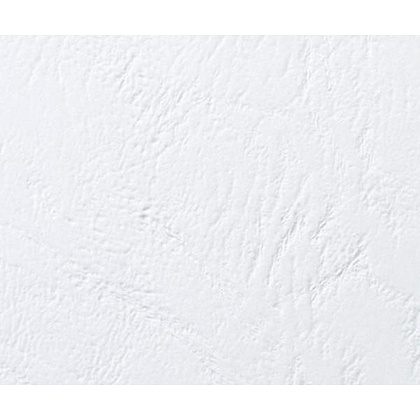 Обложка для переплета YesЛи, А4, 100 шт, белая  - 2