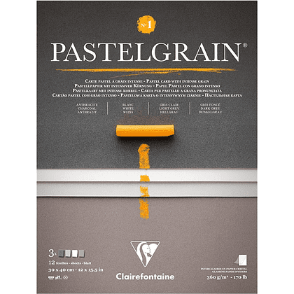 Блок бумаги для пастели "PastelGrain" 4 оттенка, 30х40см, 360 г, 12 листов, №1