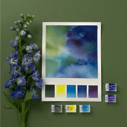 Краски акварельные "Белые ночи Ботанический атлас", набор 12 цветов, кюветы - 11