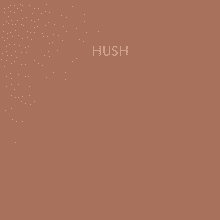 Блокнот "Hush.5", A5, 80 листов, в клетку, коричневый