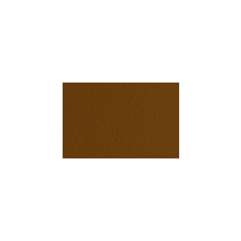 Бумага для пастели "Tiziano", 50x65 см, 160 г/м2, кофейный