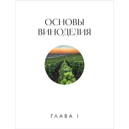 Книга "Вино к еде. Искусство идеального сочетания", Елена Горбачева - 21