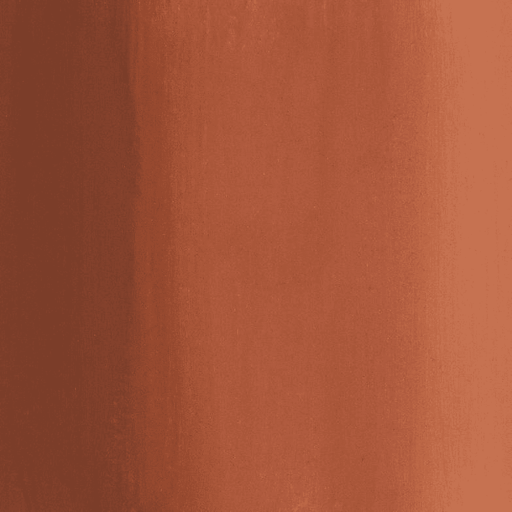 Краски гуашевые "Сонет", 419 коричневая, 40 мл., банка - 3