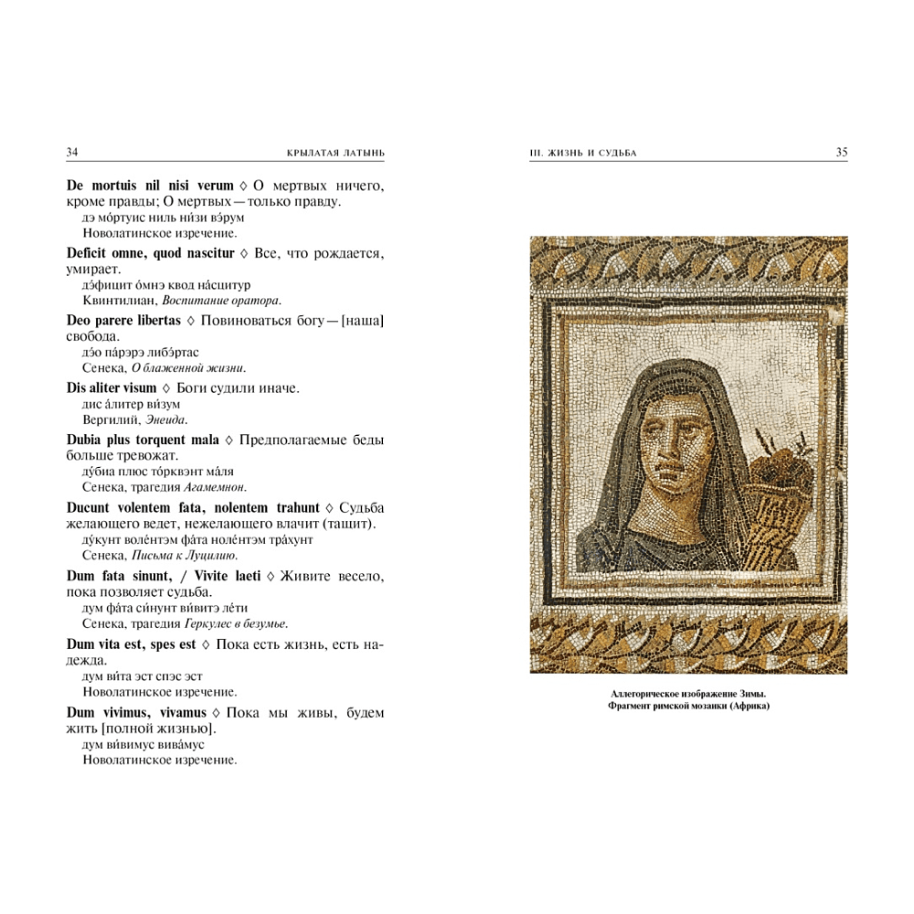 Книга "Крылатая латынь. Цитаты. Пословицы. Надписи. Девизы. Эпитафии", Константин Душенко, Григорий Багриновский - 4