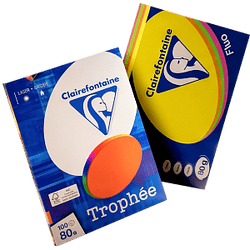 Спеццены на Trophee!