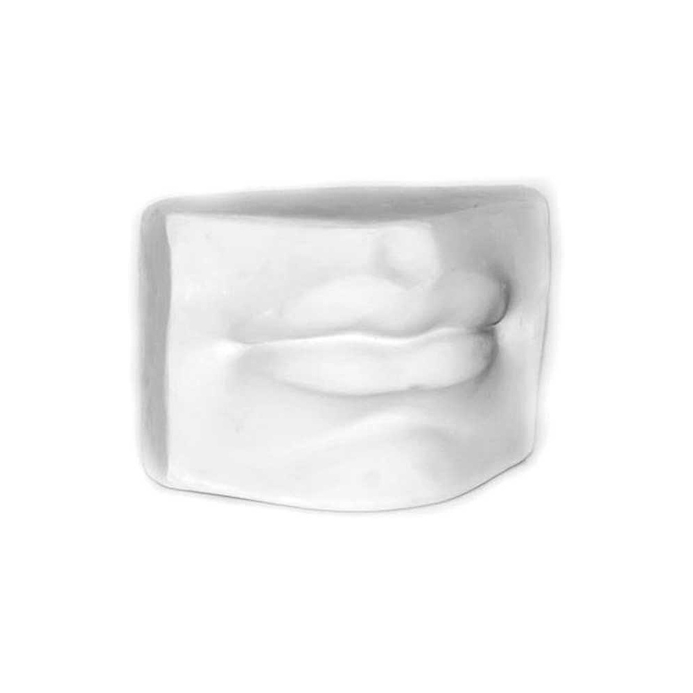 Гипсовая модель "Губы Давида"