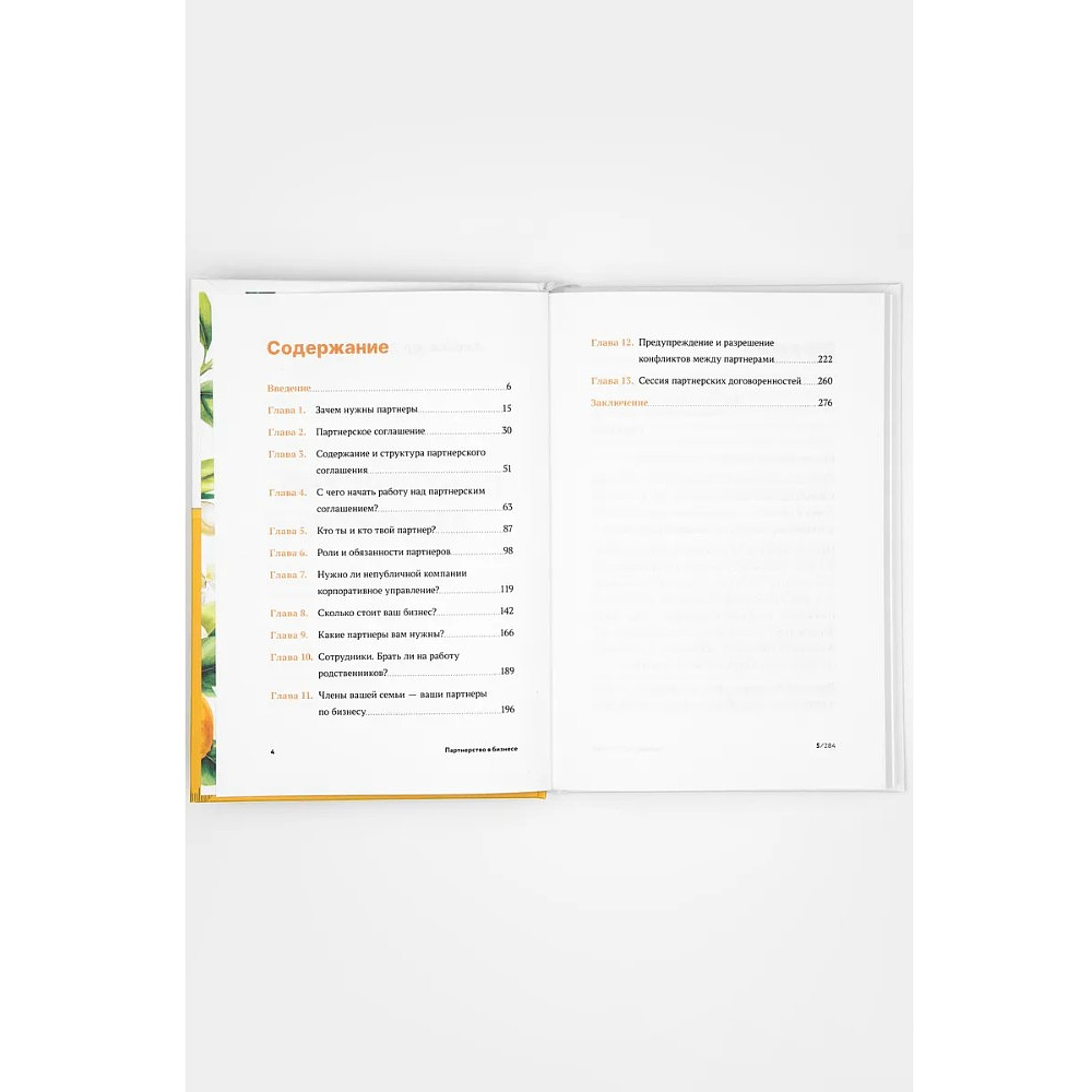 Книга "Партнерство в бизнесе", Александр Степановский - 4