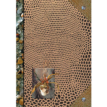 Книга канцелярская "Камешки", А4, 96 листов, клетка, коричневый