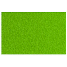 Бумага для пастели "Tiziano", А4, 160 г/м2, фисташковый 