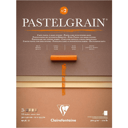 Блок бумаги для пастели "PastelGrain" 4 оттенка, 30х40см, 360 г, 12 листов, №2