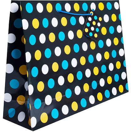 Пакет бумажный подарочный "Разнообразие",17.8x22.9x9.8 см, ассорти - 2