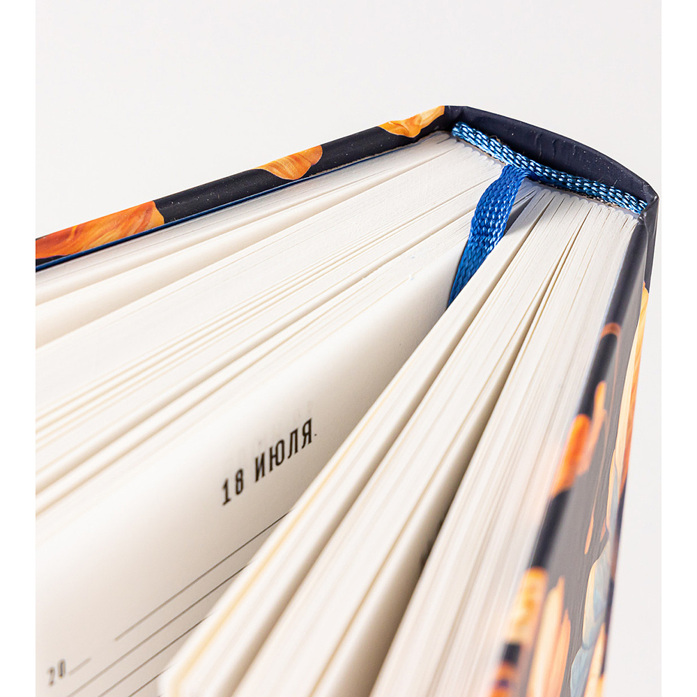 Дневник "Дневник впечатлений на 5 лет: 5 строчек в день (бутоны)" - 9