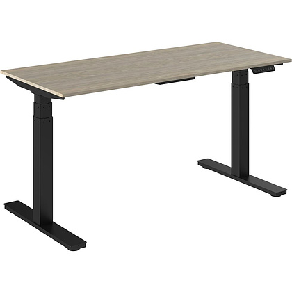 Стол подъемный WellDesk Flagman (регулируемый по высоте каркас арт. 9022026 и столешница арт. 9042846)