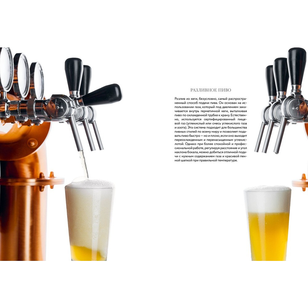 Книга "Маленькая книга гурмана. Пиво", Джованни Руджиери, Пьетро Фонтана - 11