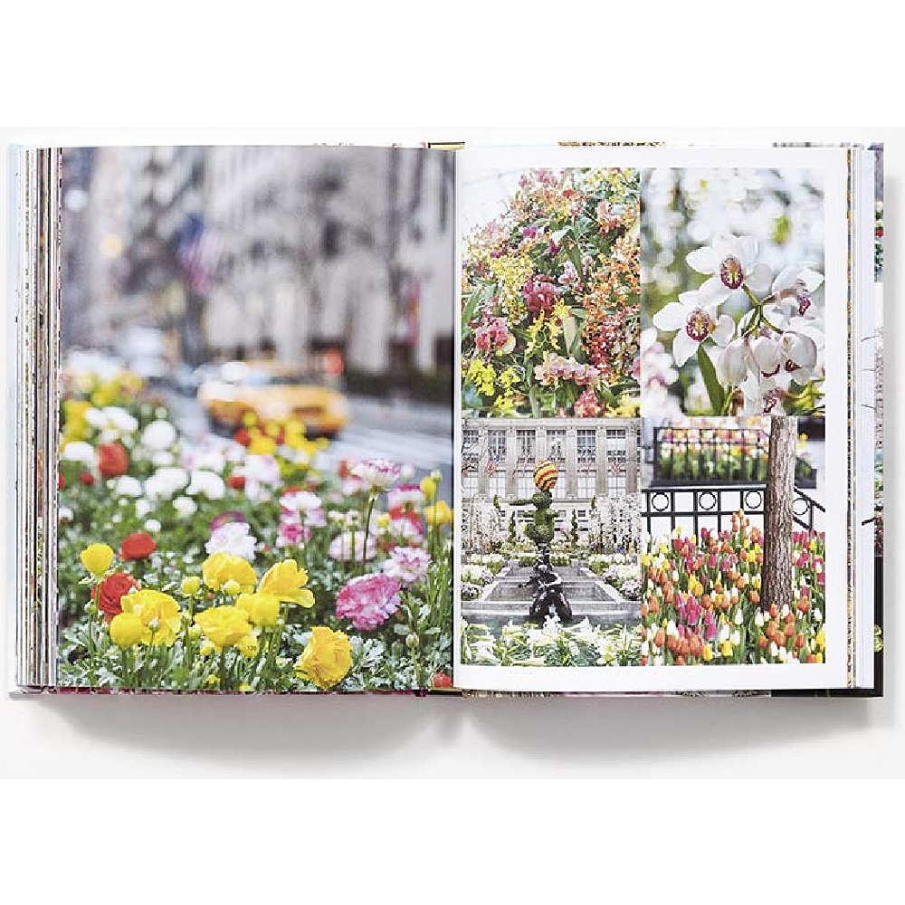 Книга на английском языке "New York in Bloom", Lane G. - 2