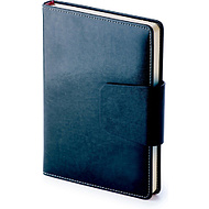 Ежедневник недатированный 