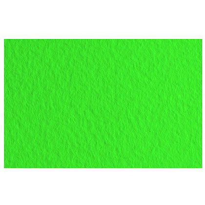 Бумага для пастели "Tiziano", А4, 160 г/м2, зеленый 