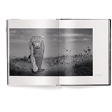 Книга на английском языке "Beusker. Look into my Eyes" HB, Lars Beusker