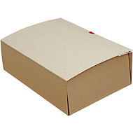 Папка для бумаг с завязками, 100 мм, 4 завязки, крафт