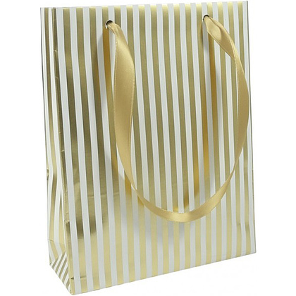 Пакет бумажный подарочный "Treasure Premium", 17x6x22 см, разноцветный