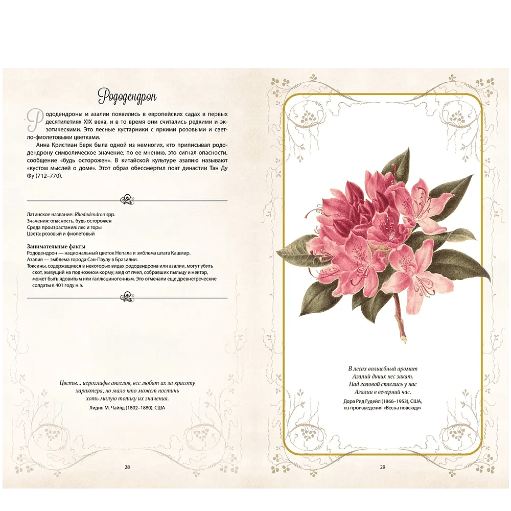 Книга "Тайный язык цветов", Джилл Дэвис, Джилл Сондерс - 5