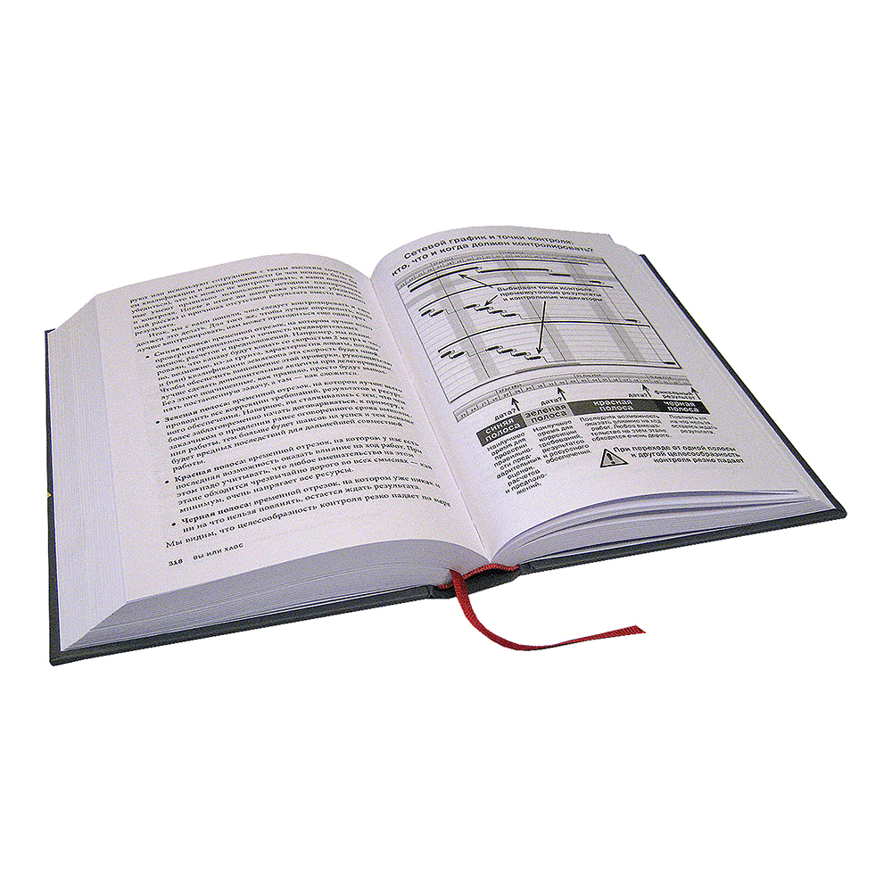 Книга "Вы или хаос. Профессиональное планирование для регулярного менеджмента", Александр Фридман - 3