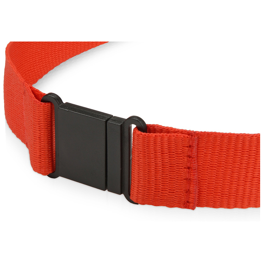 Тесьма с карабином для бейджа "839121", красный - 3