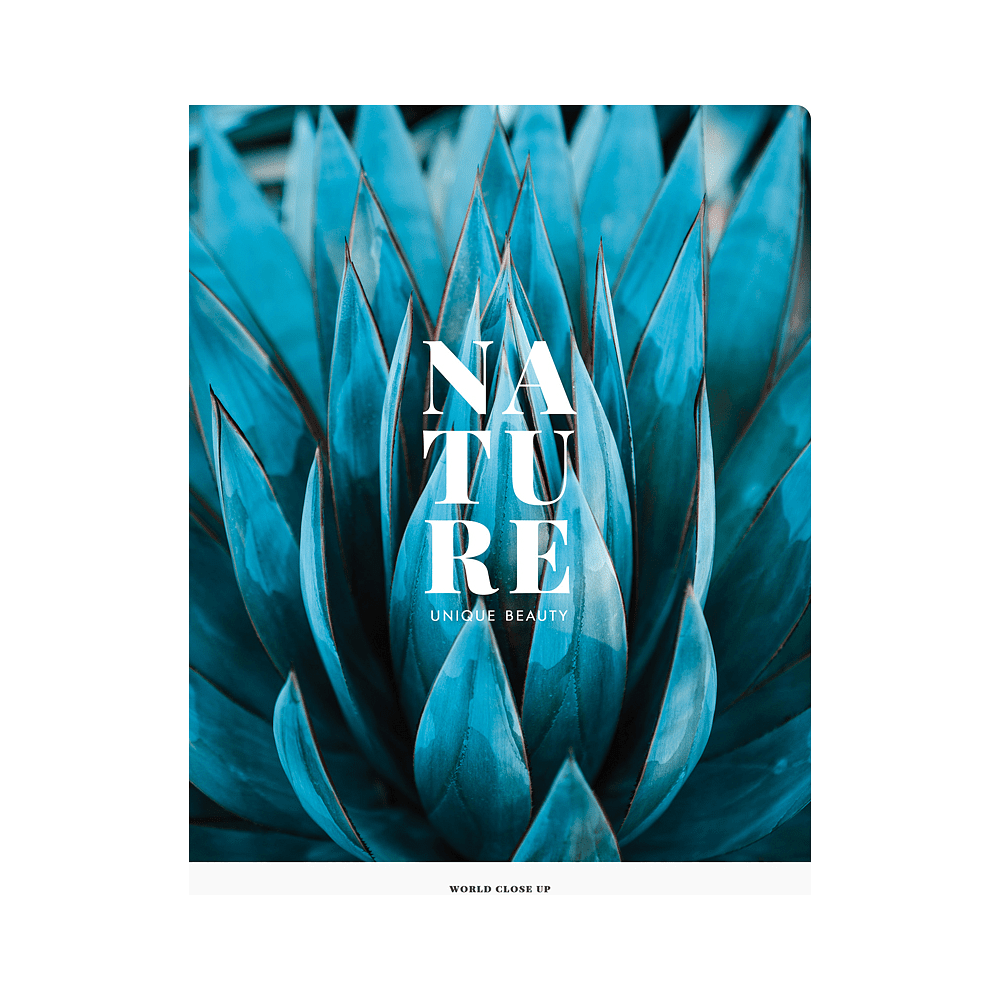 Тетрадь "Nature", А4, 48 листов, клетка, ассорти - 2