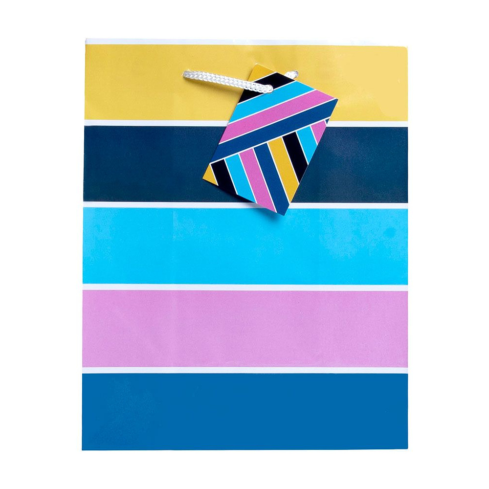 Пакет бумажный подарочный "Насыщенность", 17.8x22.9x9.8 см, ассорти