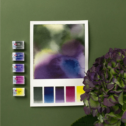 Краски акварельные "Белые ночи Ботанический атлас", набор 12 цветов, кюветы - 13