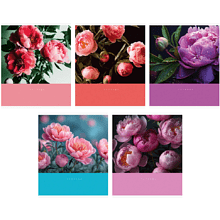 Тетрадь "Цветочный сад", А5, 48 листов, клетка, скоба сбоку, ассорти