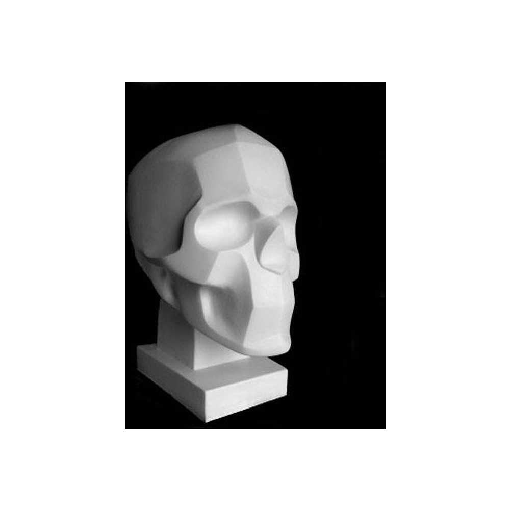 Гипсовая модель "Обрубовка черепа по Браммесу"