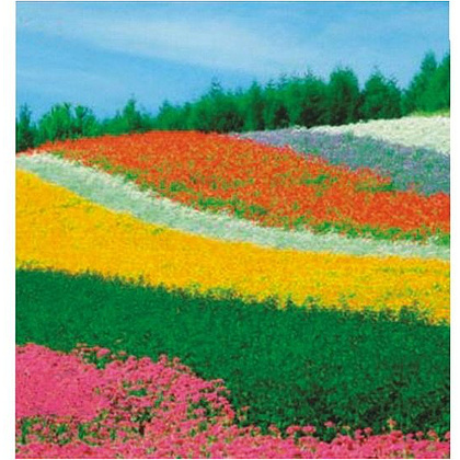 Клей карандаш "Kores", 15 г - 4