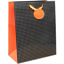 Пакет бумажный подарочный "TL30"