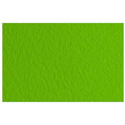 Бумага для пастели "Tiziano", 50x65 см, 160 г/м2, фисташковый